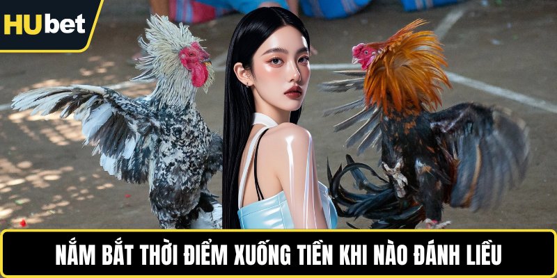 Nắm bắt thời điểm xuống tiền khi nào đánh liều
